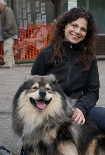Lapphundtreffen 2014 