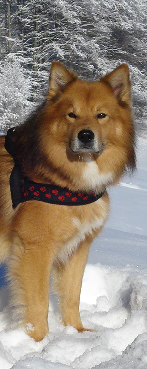 Mikko-Bild-11.jpg